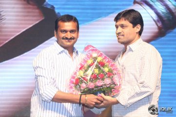 Nee Jathaga Nenundali Movie Audio Launch